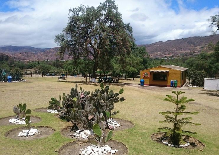 Ostrich Farm (Granja de Avestruces)